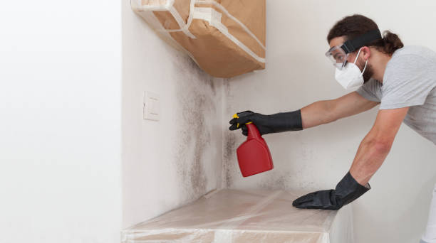 Professional Attic Mold Removal technician working in Suttons Bay, MI